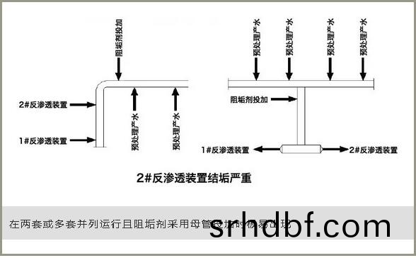 1640336987947247.png 圖片(pian)6.png